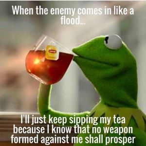 Meet your Posher, Cookie-jay